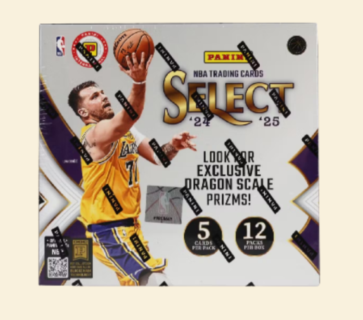2024-25 Panini Select Basketball Hobby International Box