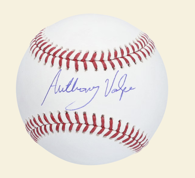 Anthony Volpe New York Yankees Fanatics Authentic Autographed Baseball