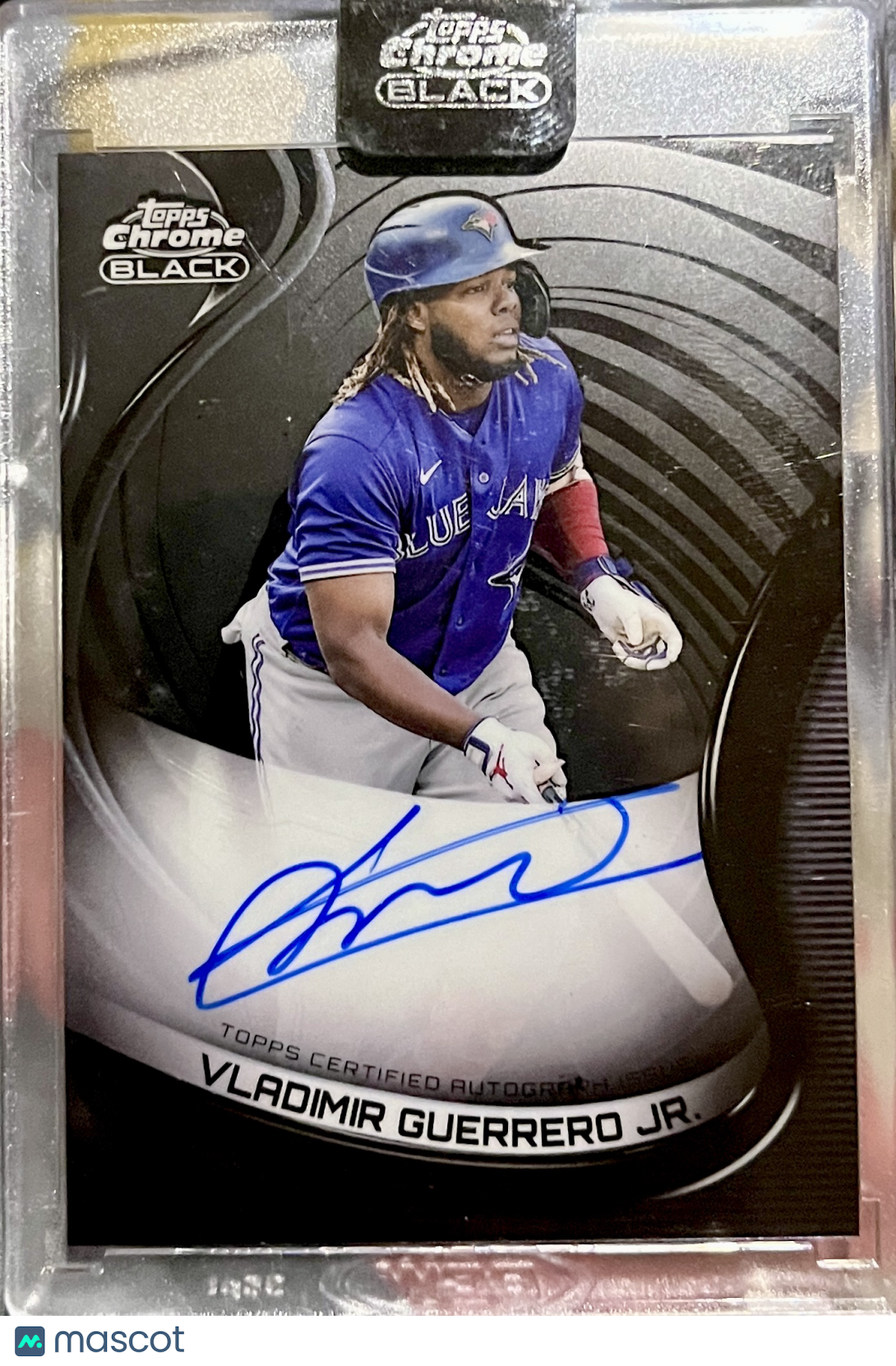 Vladimir Guerrero Jr. Baseball Cards