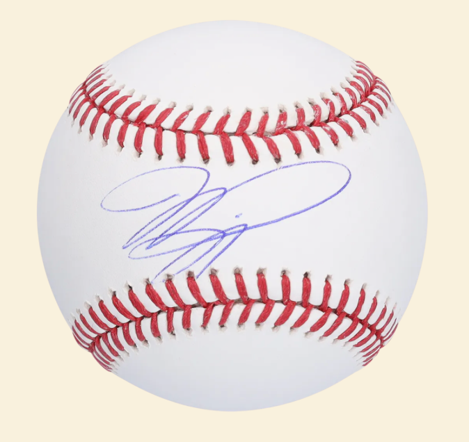 Mike Piazza New York Mets Autographed Baseball