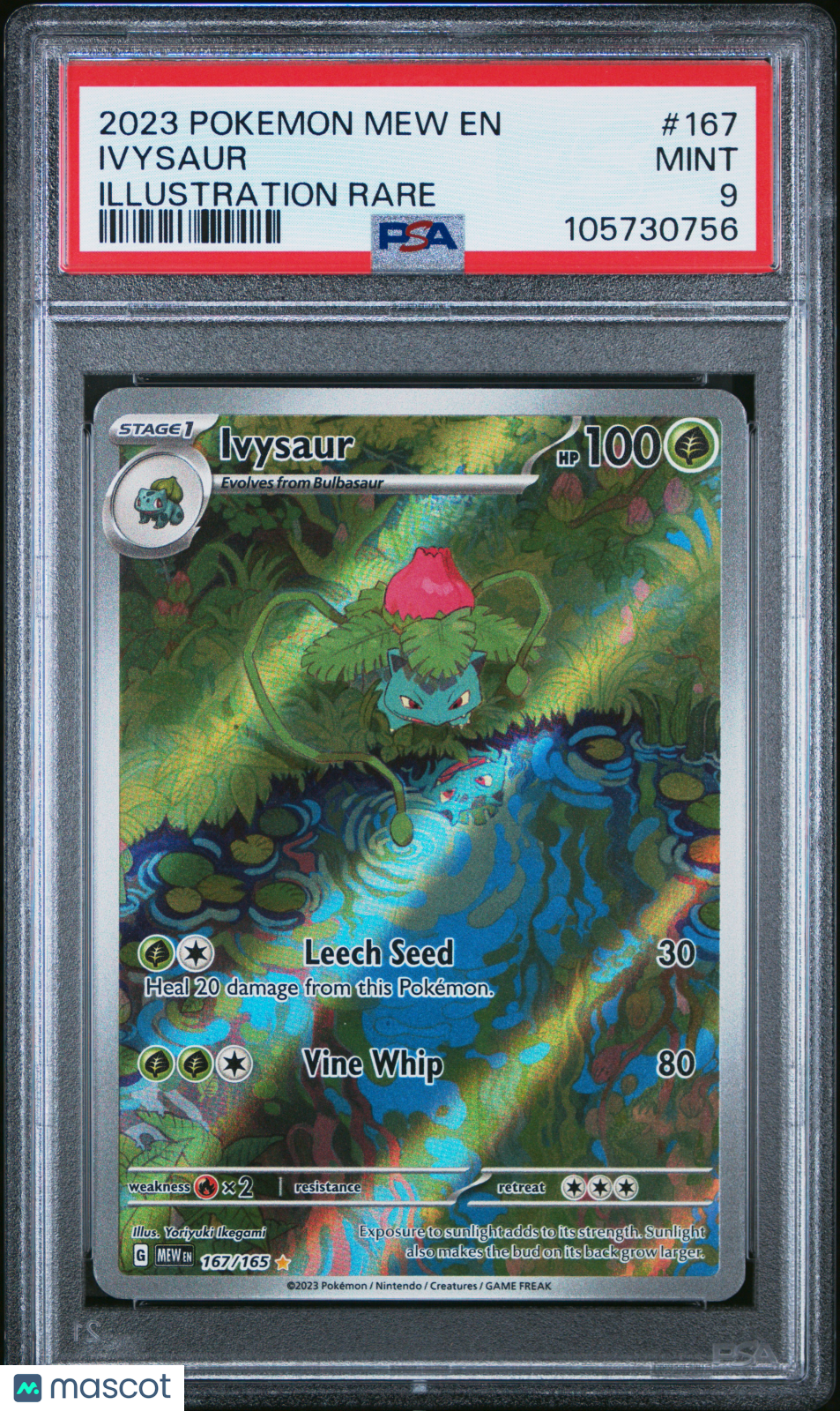 2023 Pokemon Mew EN-151 Ivysaur #167 Illustration Rare PSA 9