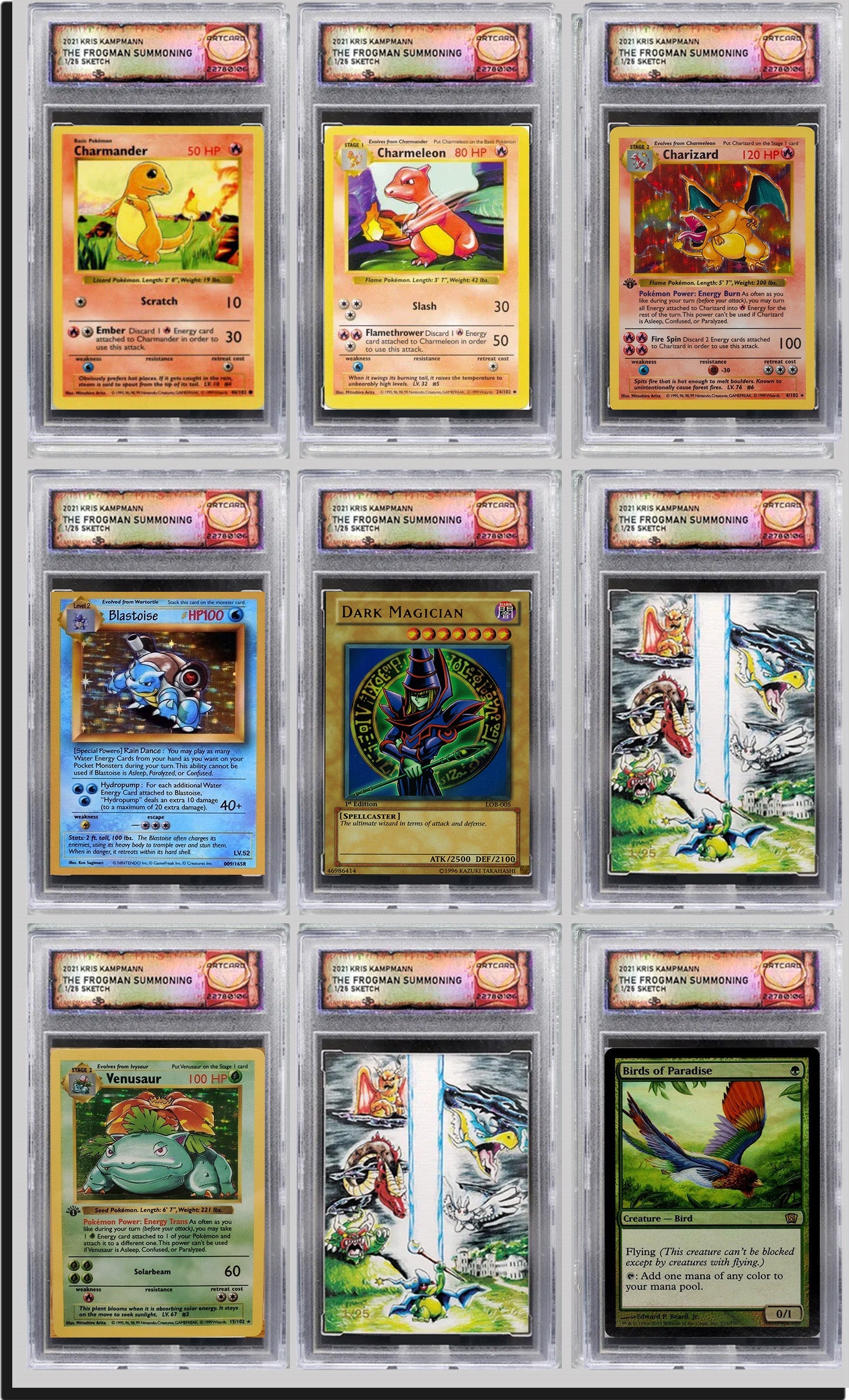 DSG GRADED TRADING CARDS DISPLAY